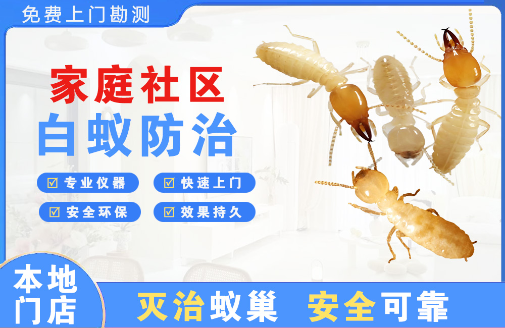 宜春家庭社区白蚁防治