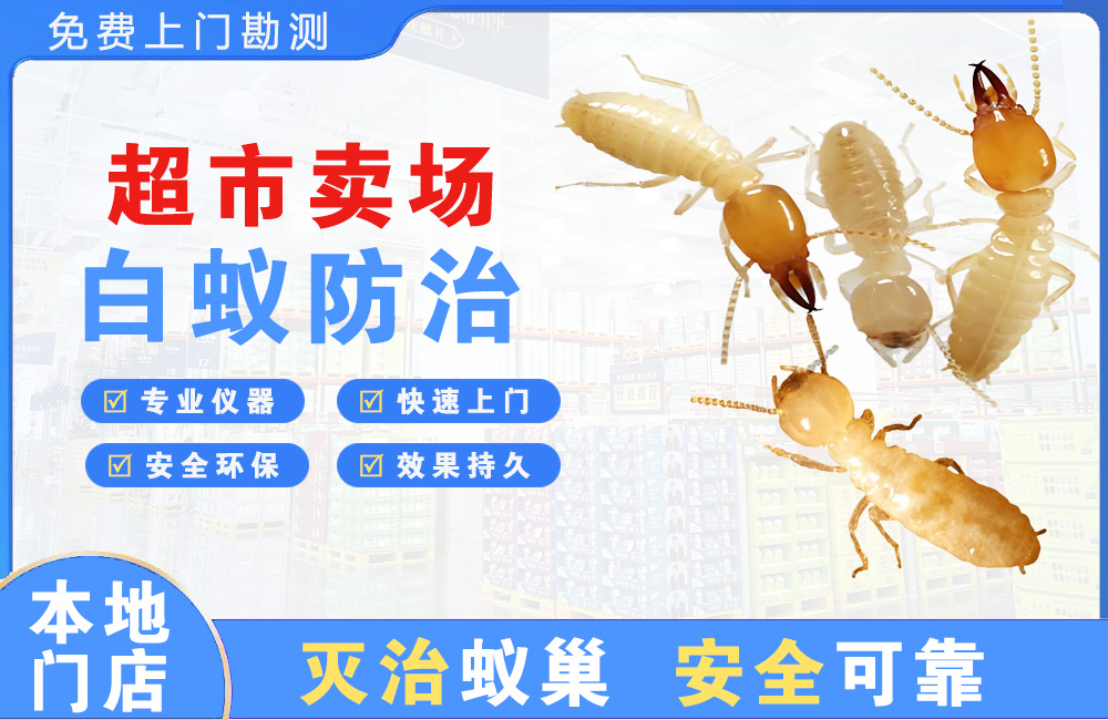 宜春超市卖场白蚁防治