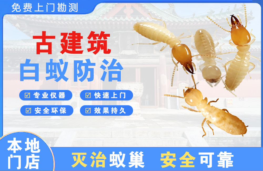 宜春古建筑白蚁防治