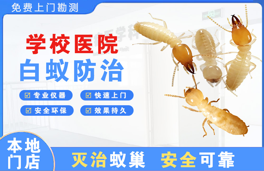 宜春学校医院白蚁防治