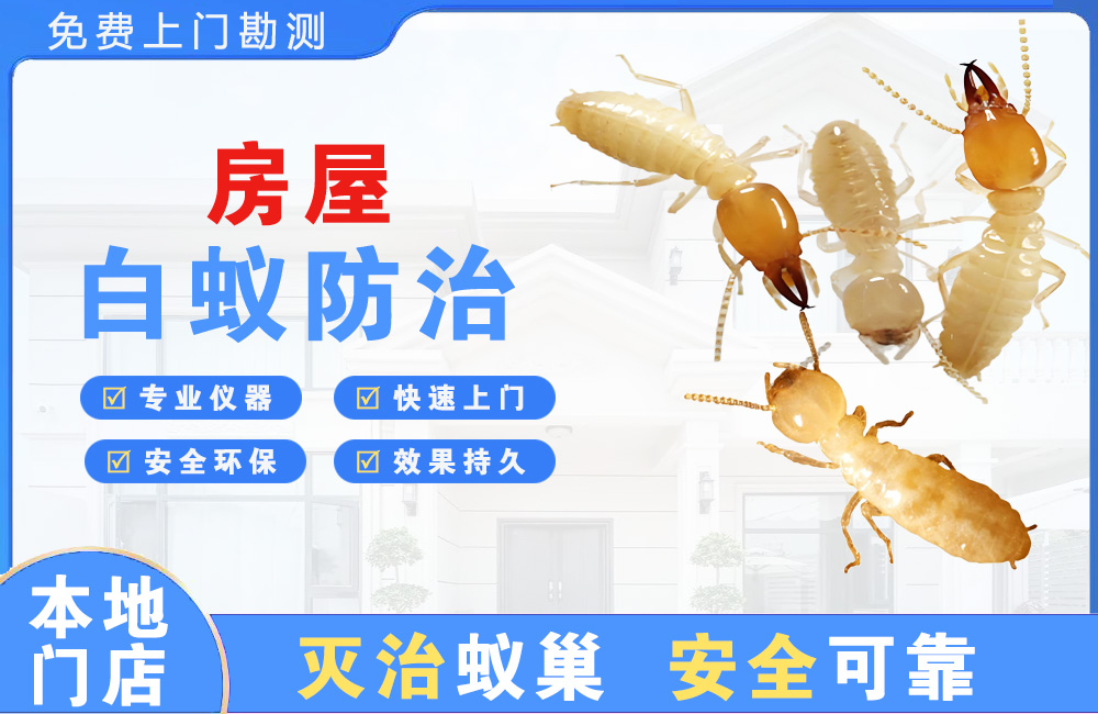宜春房屋白蚁防治