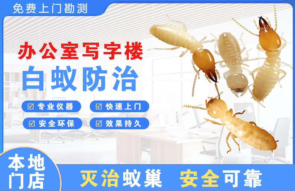 宜春办公室写字楼白蚁防治