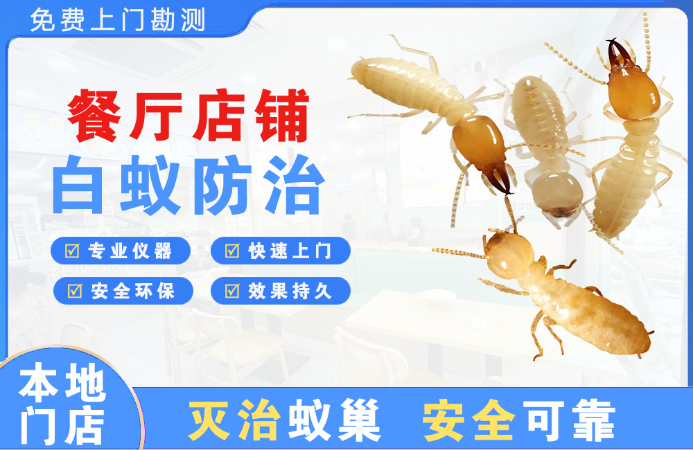 宜春餐厅店铺白蚁防治